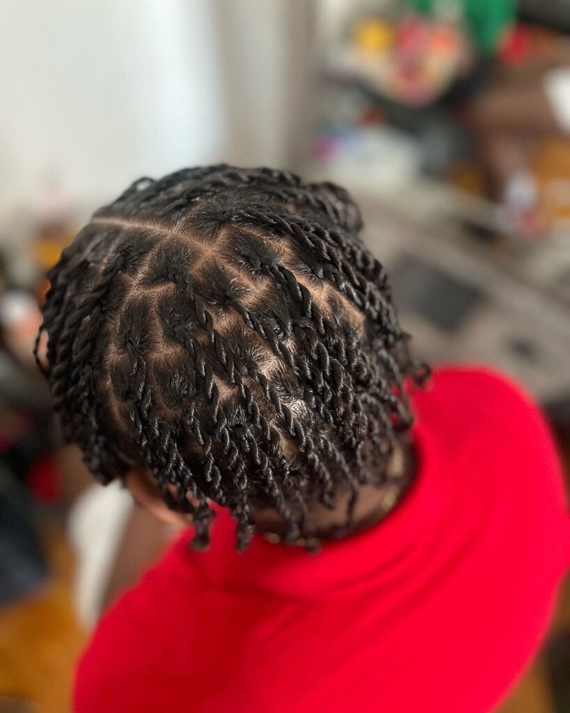 Cornrow Twisted Braids