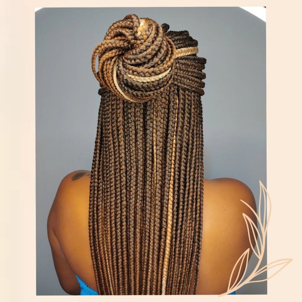 Trancas Box Braid Updo