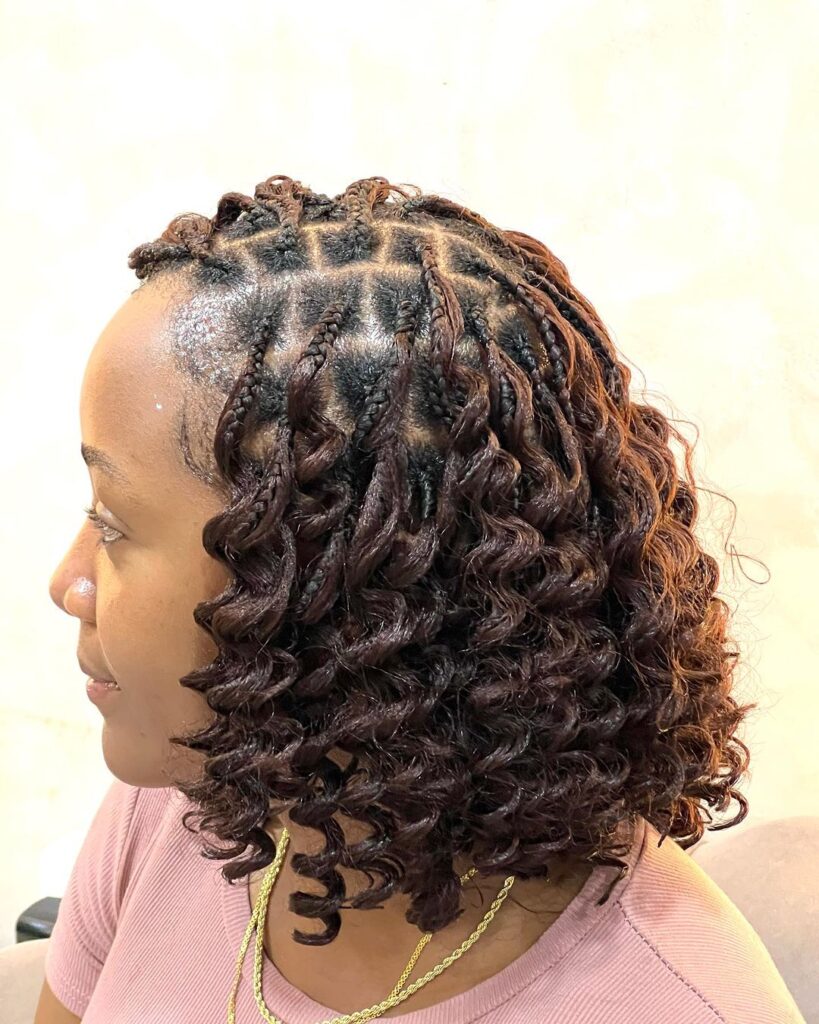 Twisted Braids