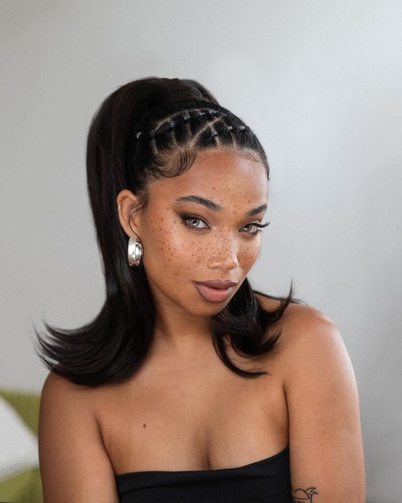 Dark High Prom Ponytail