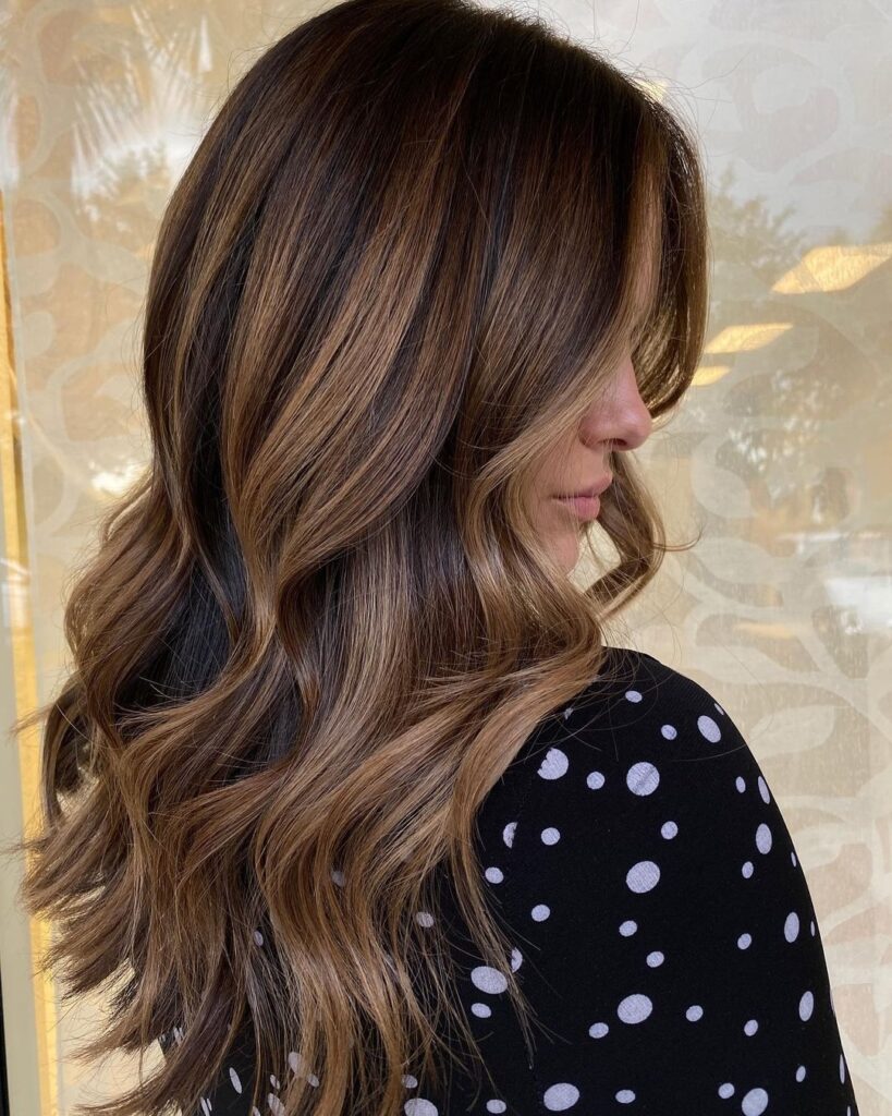 Ashy brown hair with chocolate highlights