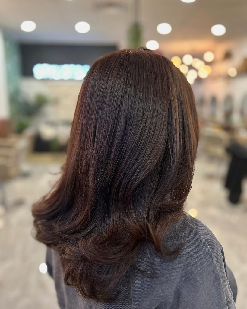 Brown-plum blend, smooth blowout, rich tones