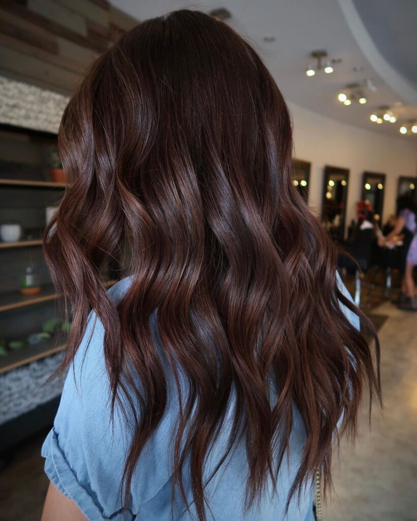 Glossy, hydrated dark brown hair