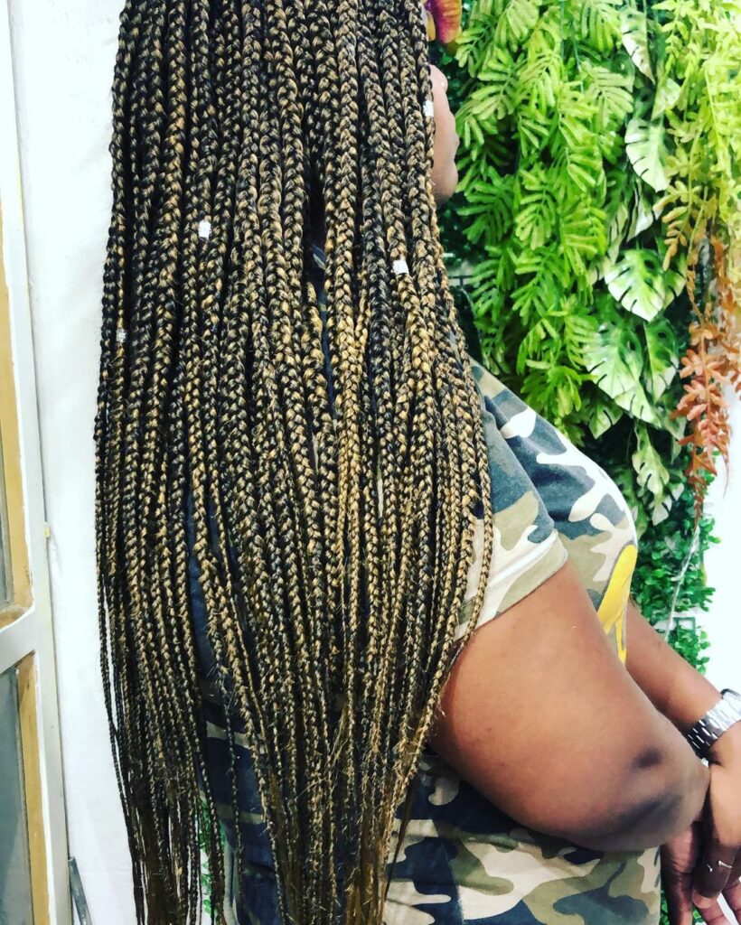 Long, elegant Trancas-inspired box braids