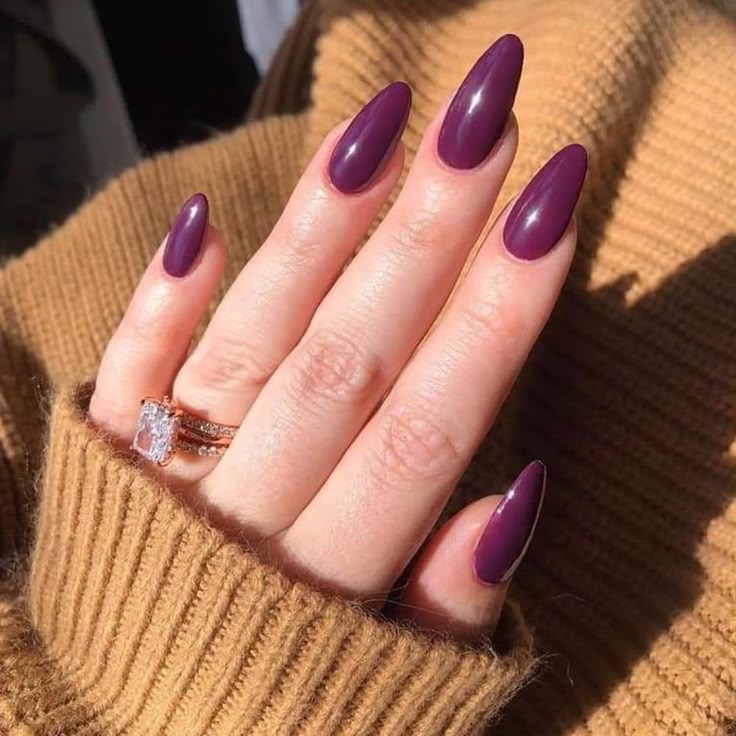 Deep plum almond nails, luxurious look
